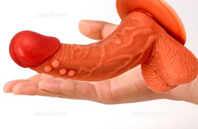 手の上の陰茎模型